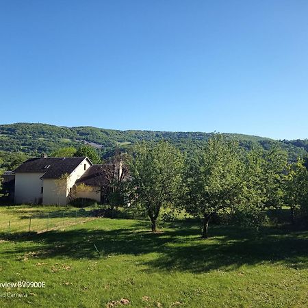 La Clematite D'Olt Apartment Saint-Côme-dʼOlt Екстериор снимка
