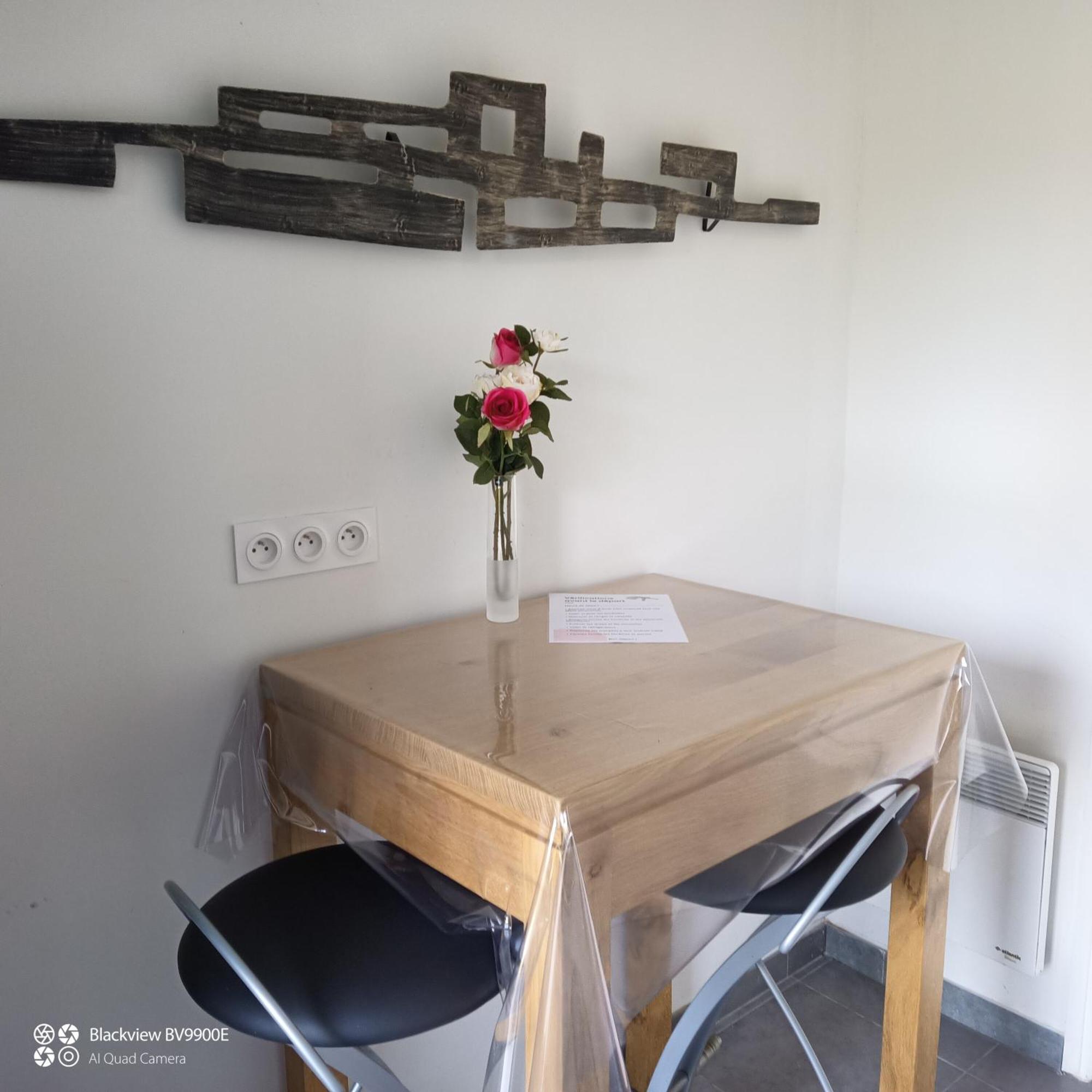 La Clematite D'Olt Apartment Saint-Côme-dʼOlt Екстериор снимка